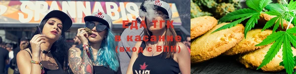 крисы Кулебаки
