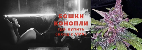мет Ладушкин