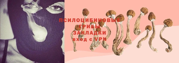 гидропоника Лабытнанги