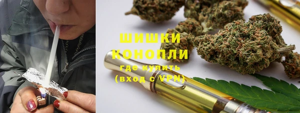 бошки Лагань