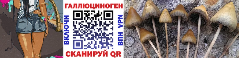 Псилоцибиновые грибы ЛСД Кочубеевское